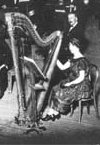 orchestral harp