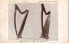 Egan wire harp