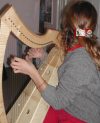 wire harp